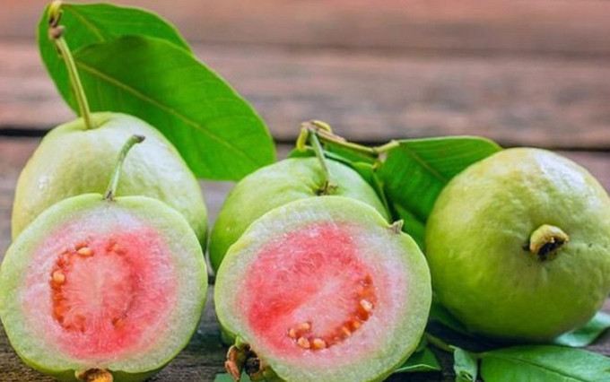 Lý do khiến ổi là loại quả cực kỳ tốt cho sức khỏe trong mùa hè