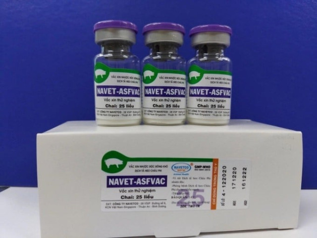 Việt Nam đã sản xuất thành công vaccine phòng dịch tả lợn Châu Phi sau hơn 3 năm nghiên cứu
