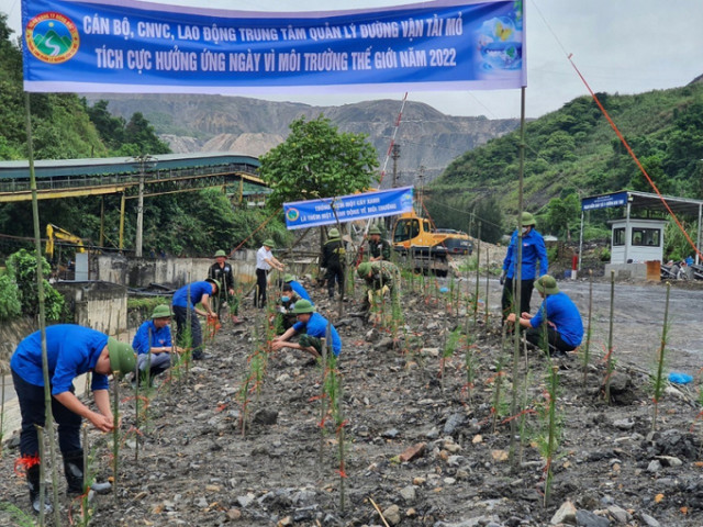Quảng Ninh hưởng ứng Tháng hành động vì môi trường năm 2022