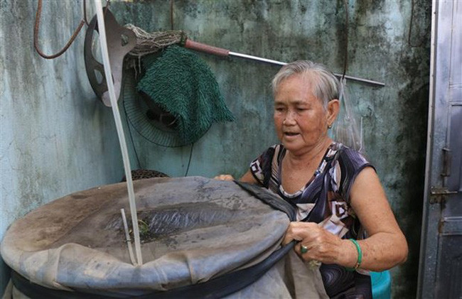 Số ca mắc sốt xuất huyết đã tăng gần gấp đôi ở các tỉnh phía Nam