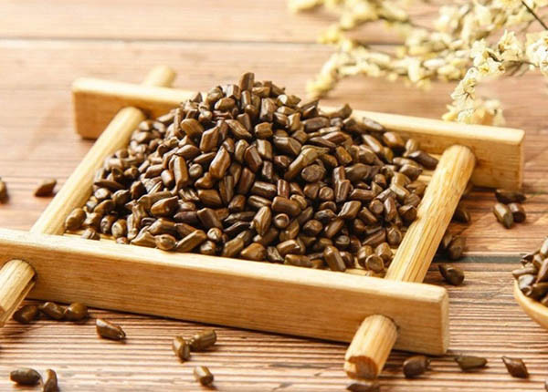 Những công dụng của thảo quyết minh