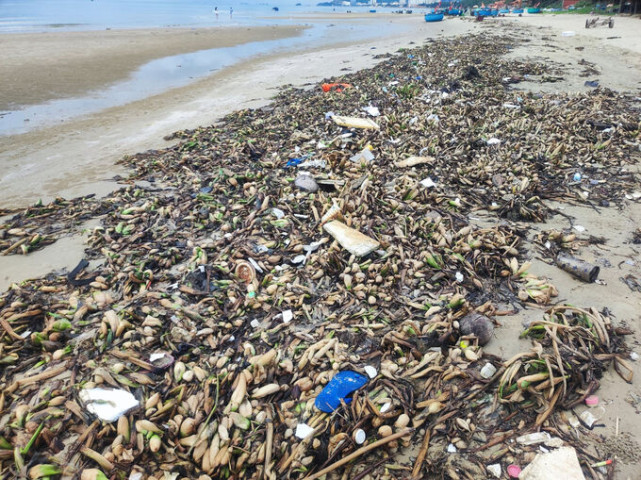 Bà Rịa - Vũng Tàu tổ chức ra quân làm sạch biển, thu gom hàng tấn rác trôi dạt vào bờ biển