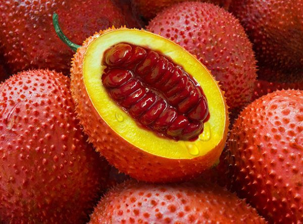 Tác dụng bổ sung dưỡng chất của quả gấc
