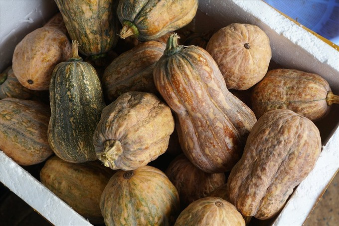Lợi ích của bí đỏ trong việc hỗ trợ giảm cân hiệu quả
