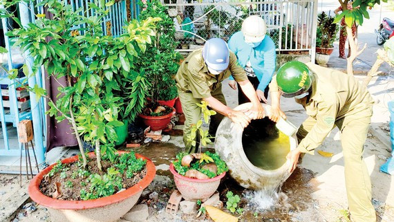TP. HCM ban hành kế hoạch về tổng vệ sinh, triệt nơi sinh sản của muỗi truyền bệnh sốt xuất huyết