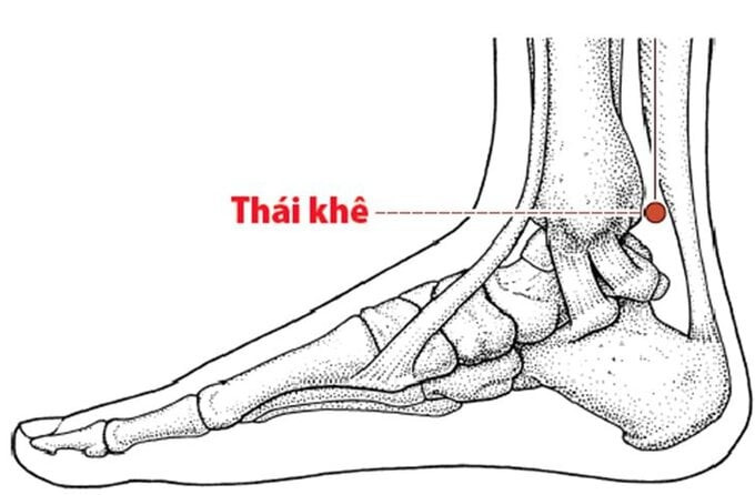 Bấm huyệt Thái Khê chữa mất ngủ kéo dài