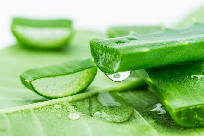 Cách làm mặt nạ nha đam giúp da săn chắc
