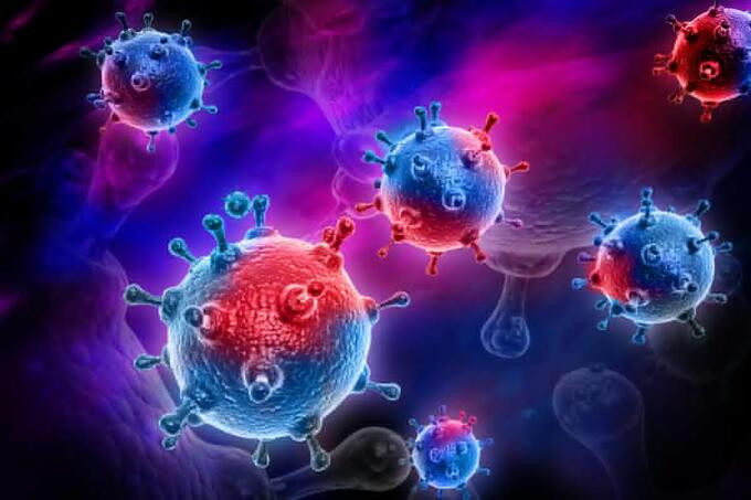 Vaccine cúm phổ thông mới do chính phủ Hoa Kỳ phát triển bắt đầu thử nghiệm trên người