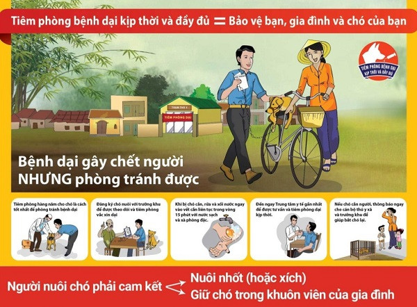 Cà Mau đẩy mạnh công tác phòng, chống bệnh dại