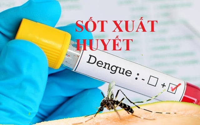 Đồng Nai ghi nhận thêm 1 ca tử vong do sốt xuất huyết