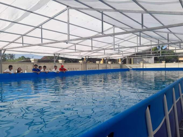 Quảng Bình tổ chức lớp học bơi miễn phí cho học sinh tiểu học