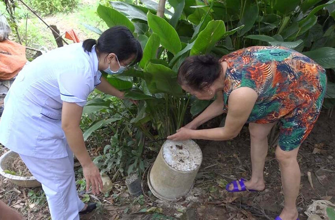 Lào Cai điều tra muỗi truyền bệnh sốt xuất huyết tại những địa bàn có nguy cơ cao