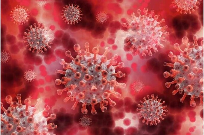 Virus cúm gia cầm có thể gây bệnh cho người nặng hơn các virus cúm khác