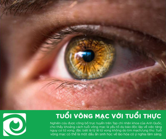 Phát hiện mới về tuổi sinh học của võng mạc và tuổi thực của con người