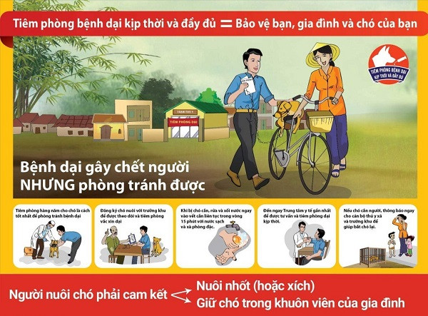 Cà Mau tiếp tục đẩy mạnh công tác phòng, chống bệnh dại