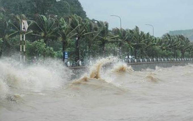 Chủ động ứng phó với áp thấp nhiệt đới có khả năng mạnh lên thành bão