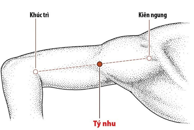 Châm cứu huyệt Tý Nhu chữa bệnh