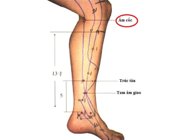 Tác dụng của bấm huyệt và châm cứu huyệt Âm Cốc