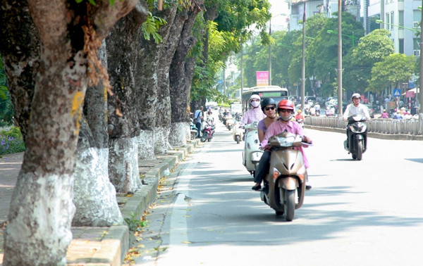Dự báo thời tiết ngày 30/8: Miền Bắc nắng nóng gay gắt