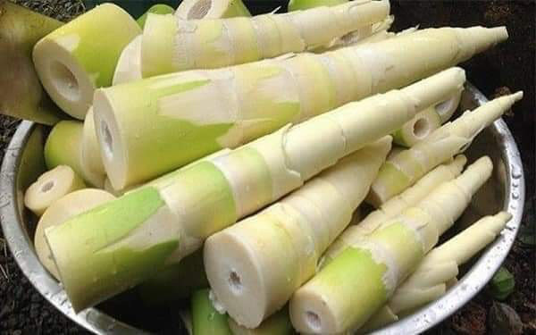 Ăn măng có độc hại và nguy hiểm không?