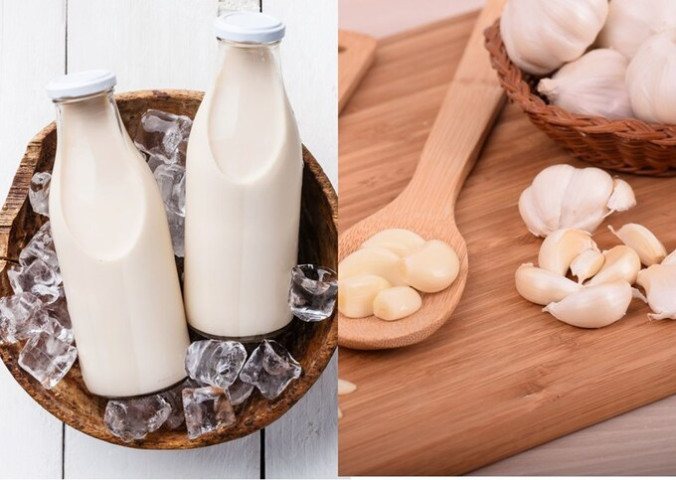 Tỏi kết hợp với sữa mang lại những lợi ích gì cho sức khỏe?