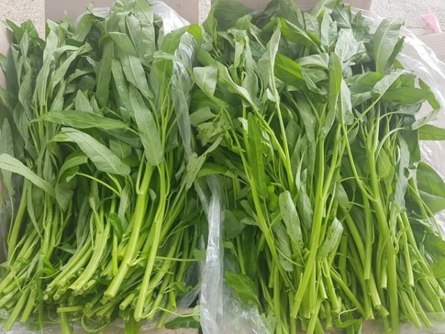 Lợi ích bất ngờ của rau muống trong việc giữ dáng, đẹp da và tóc