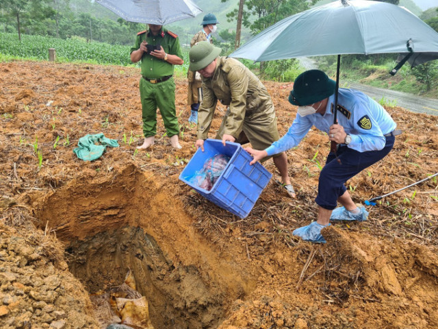 Sơn La xử lý đối tượng vận chuyển sản phẩm động vật không rõ nguồn gốc xuất xứ