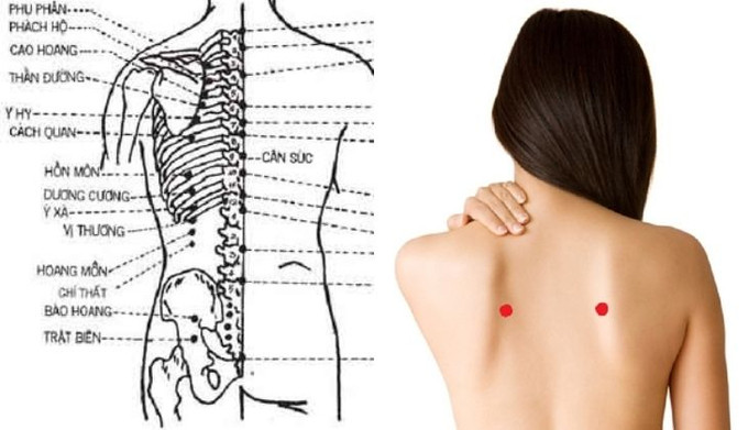 Tác dụng khi châm cứu, bấm huyệt Cao Hoang cho sức khỏe