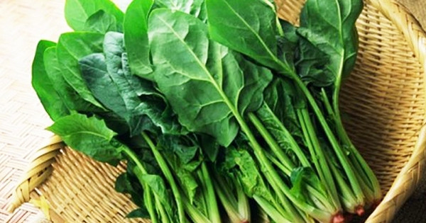 Loại thực phẩm cần thiết cho sự phát triển của trẻ trên 2 tuổi
