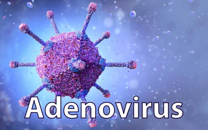 Hỏi đáp về Adenovirus