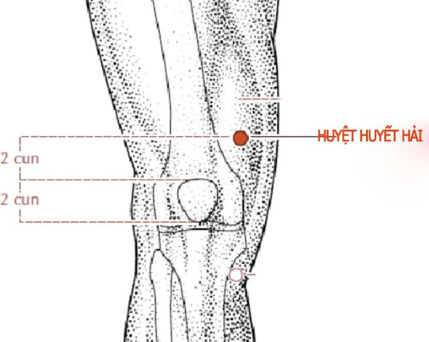 Cách bấm huyệt Huyết Hải trị đau khớp gối
