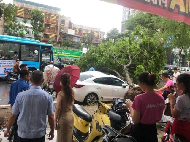 Chùm ảnh Hà Nội ngập lụt, cây đổ gây thiệt hại nhiều sau trận mưa lớn