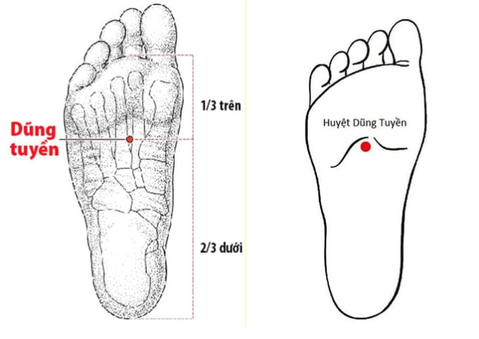 Tác dụng bấm huyệt chữa bệnh của huyệt Dũng Tuyền