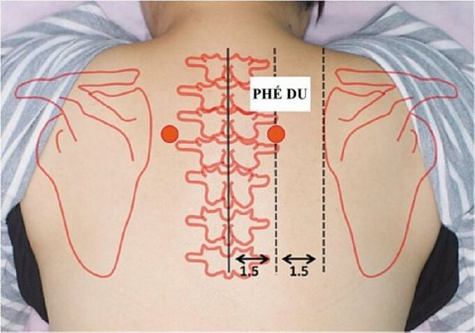 Tác dụng của huyệt Phế Du trong việc điều trị bệnh lý