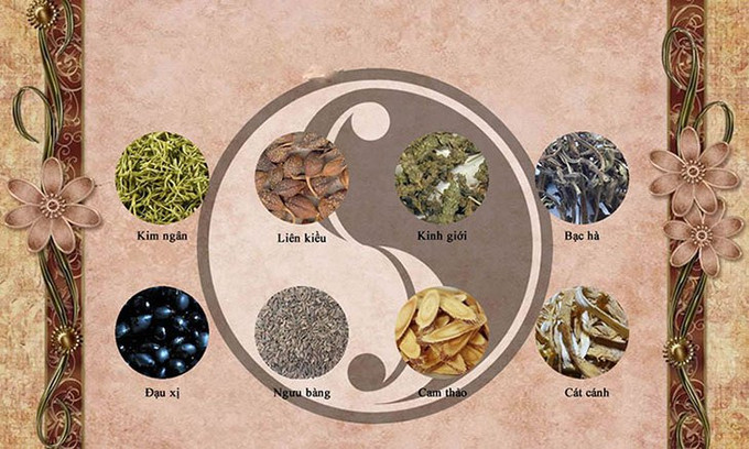 Ngân kiều tán - Bài thuốc trị các chứng bệnh liên quan đến đường hô hấp