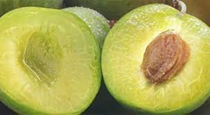 Lợi ích bất ngờ của mận Kakadu đối với sức khỏe