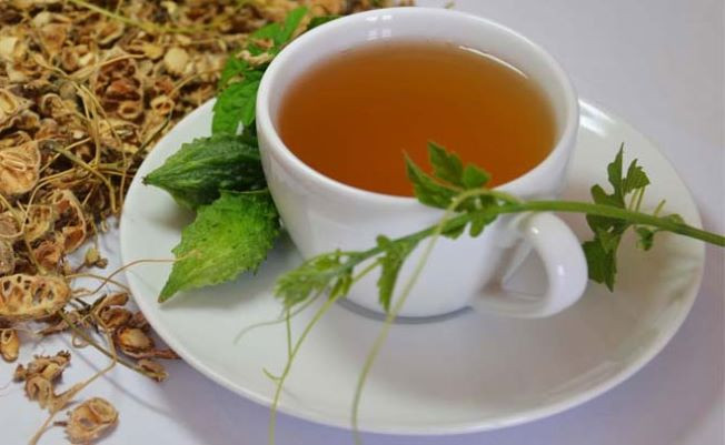 Cách pha trà mướp đắng giúp kiểm soát bệnh tiểu đường