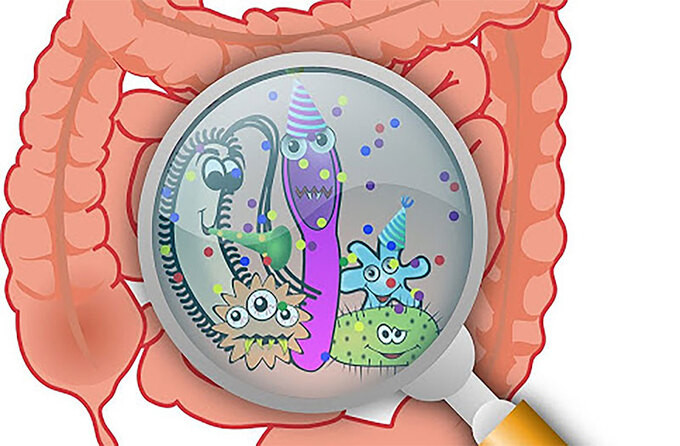 Tìm hiểu về vi khuẩn đường ruột