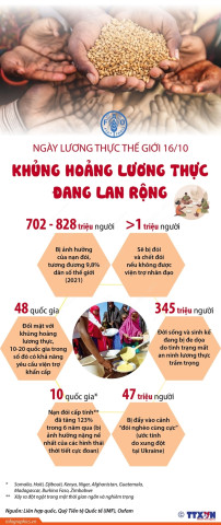 Infographics Ngày Lương thực Thế giới 16/10: Khủng hoảng lương thực đang lan rộng
