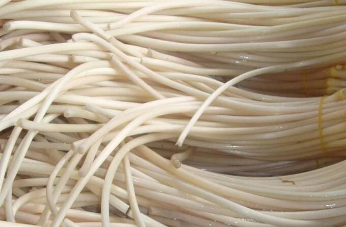 Bài thuốc trị bệnh hiệu quả bất ngờ từ cây sen