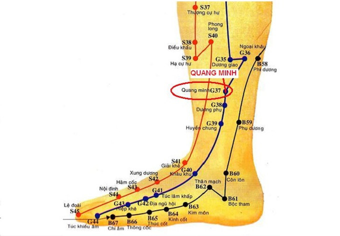 Tác dụng của huyệt Quang Minh đến sức khỏe
