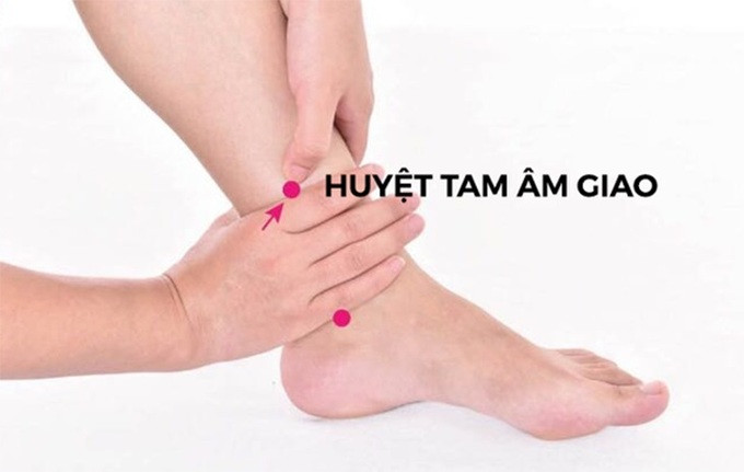 Tam âm giao - Huyệt vị quan trọng trong hoạt động chữa bệnh của Đông y và dưỡng sinh