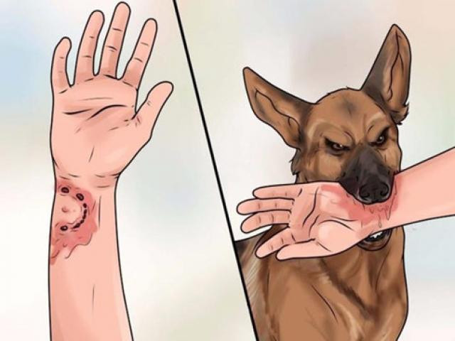 Điện Biên có 2 trường hợp tử vong do bị chó cắn
