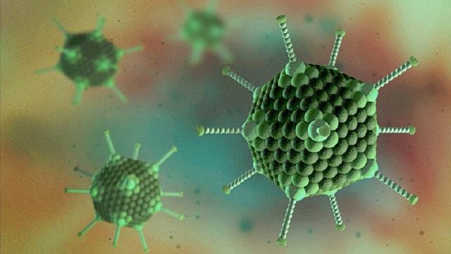 Những thông tin quan trọng về Adenovirus