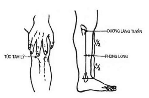 Huyệt Phong Long có tác dụng trong điều trị ho đờm, chóng mặt, hen suyễn, tê liệt các chi