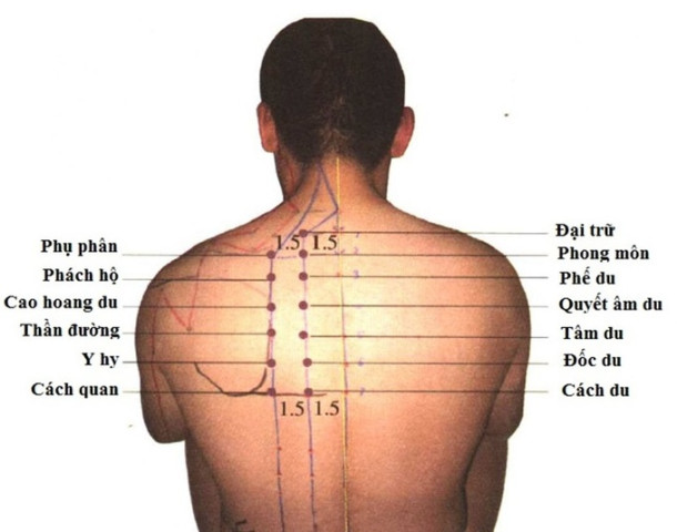 Tác dụng của huyệt Cách Du với sức khỏe