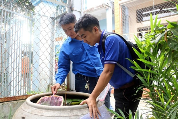 TP. HCM ghi nhận thêm 75 ổ dịch sốt xuất huyết mới