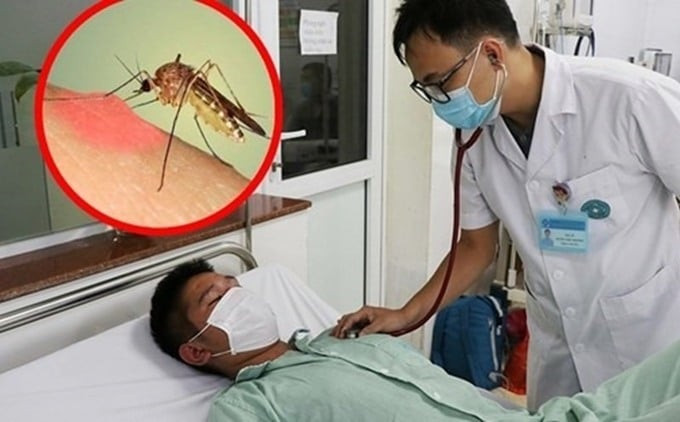 Cả nước ghi nhận 292.439 trường hợp mắc sốt xuất huyết, 112 ca tử vong