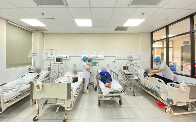 Hòa Bình: Nhiều trường hợp bị ong khoái - ong mật tấn công