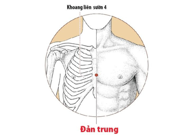 Tác dụng của huyệt Đản Trung với sức khỏe